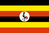 UGA flag